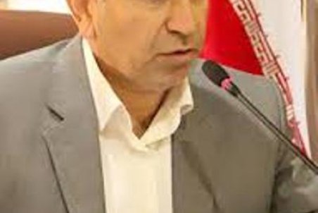 لرستان| کشف محموله قاچاق پرندگان شکاری در لرستان