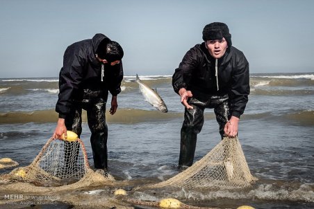 مازندران| تور خالی صیادان خزر