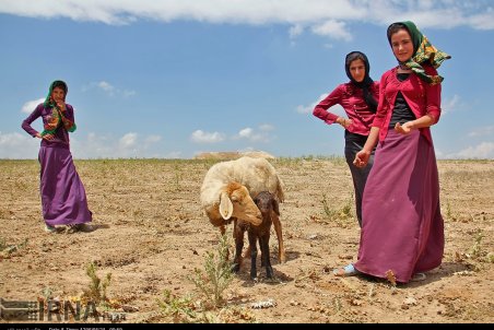 خراسان شمالی|  چالش ها همچنان ادامه دارد