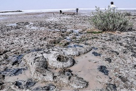 خراسان جنوبی| خشکسالی یقه تالاب نهبندان را گرفته است