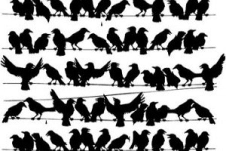 شایعه زیر پوست اقتصاد