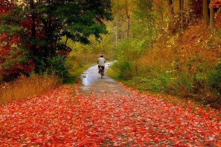 گنج‌هاي ناشناخته گر دشگري در خزان هزار رنگ