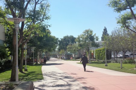 کرمان| مرحله اول جاده تندرستی تا دهه فجر افتتاح می‌شود