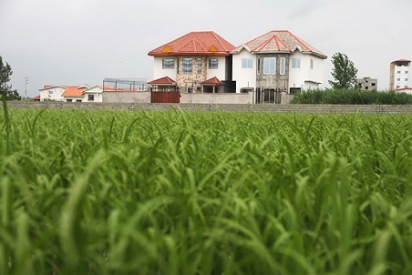 کهگیلویه و بویر احمد| ۴۳ مورد تغییر کاربری‌های غیرمجاز در استان قلع‌وقمع شد