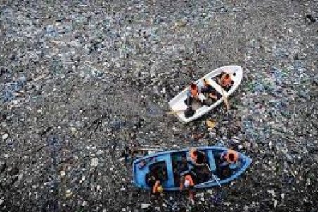 ماهی‌های شکم پر از پلاستیک