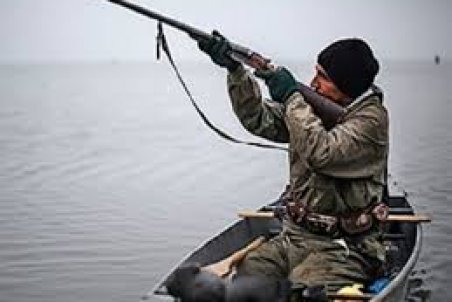 آذربایجان شرقی| مجوز شکار پرندگان تا پایان بهمن‌ماه اعتبار دارد