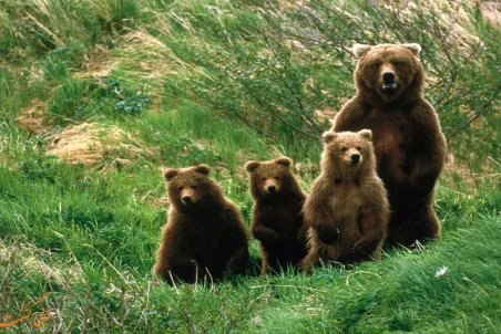 پرونده هيركاني روي ميز يونسكو