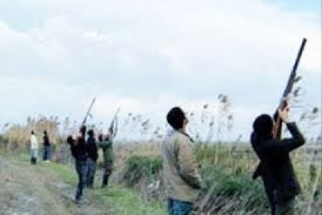 شلیک غریزه به بال پرنده