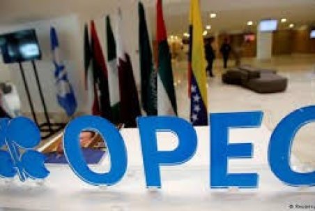 زیان ۹ میلیارد دلاری کشورهای عضو و غیرعضو اوپک از کاهش قیمت نفت