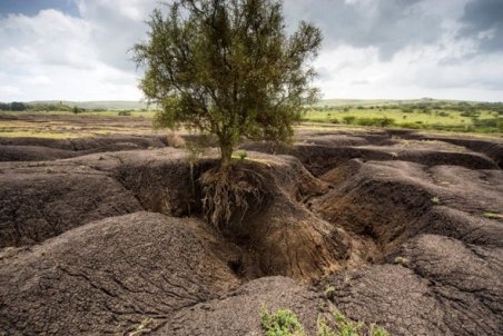 ایلام| مرگ مظلوم خاک