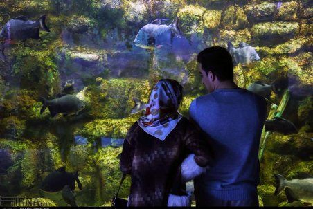 گیلان| مجموعه تفریحی و گردشگری آکواریوم ایران در انزلی