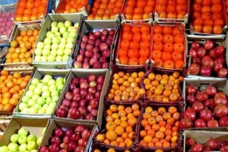 فارس| استان فارس 11.5 درصد از  غذای کشور را تامین می کند