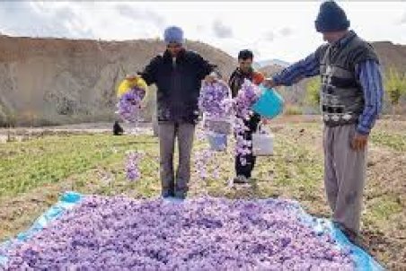 خراسان رضوی| به نام ایران به کام جهان