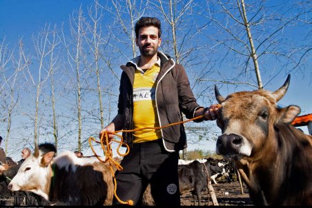 گیلان| بازار مال فروشان