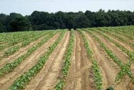 لرستان| رفع نگرانی کشاورزان لرستانی برای تأمین آب