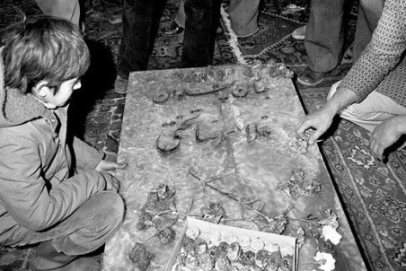 پهلوانی برای تمام فصول