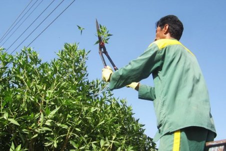 زنجان| معضل بیکاری زمستانه