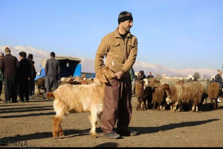 کردستان| بازار پر رونق