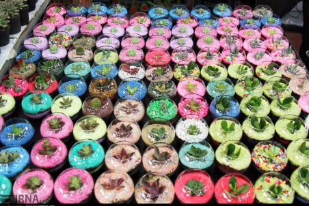 قزوین| نمایشگاه گل و گیاه