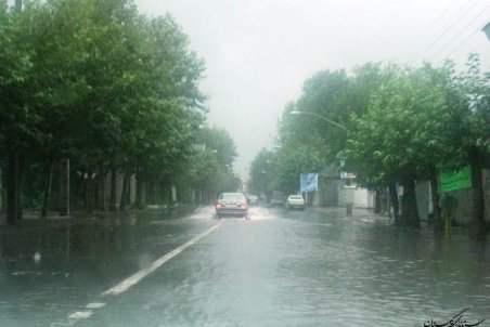 گلستان| مرهمی بر زخم‌های گلستان