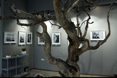 قزوین| نمایشگاه عکس کوچه به کوچه