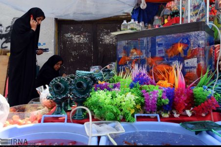 فارس| شیراز در استقبال بهار