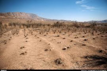 دردسر خشکسالی در کرمان