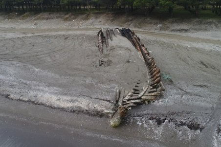 ثبت ملی بقایای کشتی گیلان