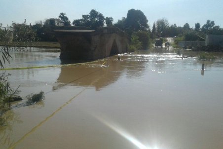 مازندران| کشاورزان قربانی سیلاب جویبار