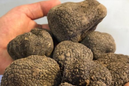 مرکزی| دست‌درازی به ترافل ساوه