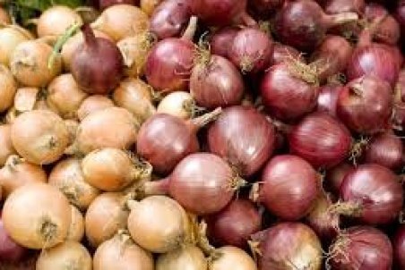 خراسان رضوی| قیمت پیاز همچنان اشک مردم را در می‌آورد