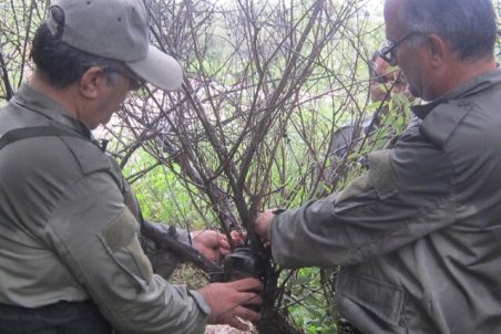 خوزستان| مشاهده ردپای گوزن‌های گمشده در پارک ملی دز