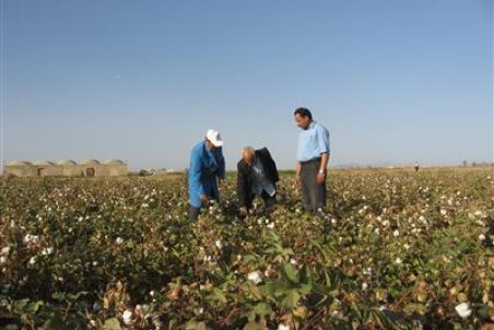 دست دلالان از بخش کشاورزی خراسان جنوبی کوتاه می‌شود