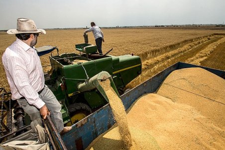 زنجان| اما و اگرهای حضور دلالان