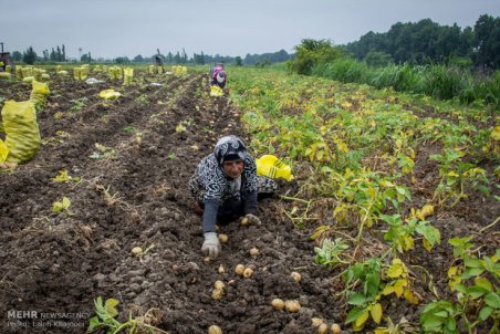 خراسان جنوبی| رکوردشکنی بارندگی