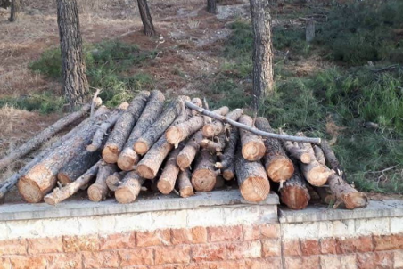 ایلام| اماواگرهای ساخت پارک بانوان