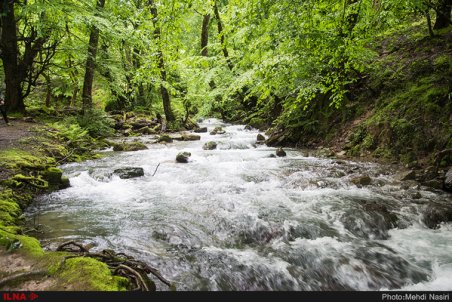 رودخانه روستای دیورش رودبار