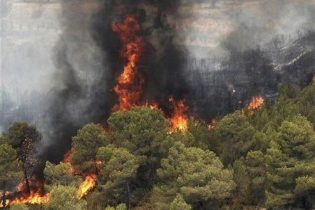 فارس| وقوع حریق در جنگل بلوط مرودشت