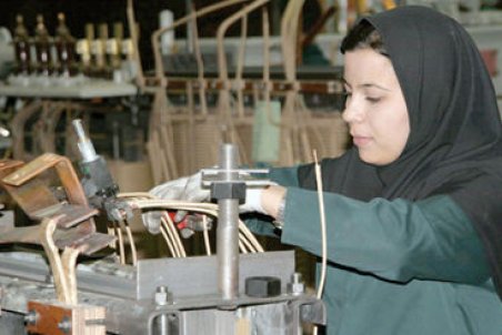 خراسان جنوبی| پرداخت ۳۸۰ میلیارد ریال تسهیلات به بانوان استان