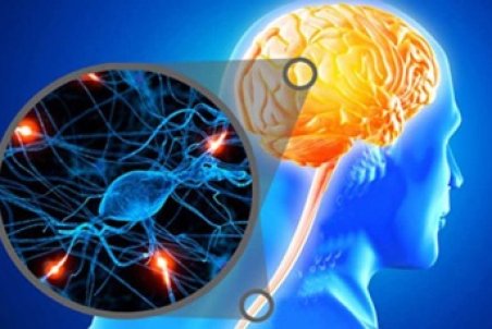 زنان 20 تا 40 ساله در تیررس بیماری ام.اس