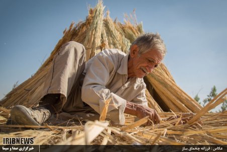 فارس| رونق بوریا بوفی در اطراف شیراز