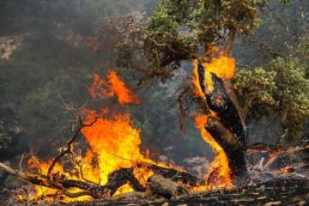 لرستان| استقرار دیده‌بان آتش‌سوزی در ۱۵۰ نقطه بحرانی جنگل‌های لرستان