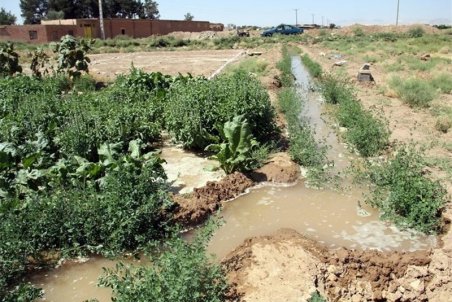 قزوین| آهنگ کند سازگاری با کم‌آبی