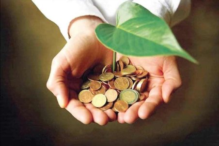 سبزسازی مشاغل در دستور کار سازمان محیط زیست