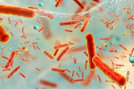 آنتی‌بیوتیک‌ها باکتری‌های روده را از بین می‌برند و عفونت را تشدید می‌کنند