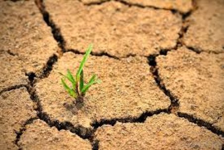 سمنان| حرکت سمنان در مسیر بیابان‌زدایی