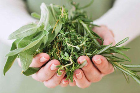 فارس| گیاهان دارویی جایگزین مناسب محصولات پرآب بر