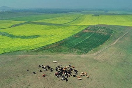 پیشی گرفتن سرعت مصرف منابع طبیعی از توان خود احیایی زمین