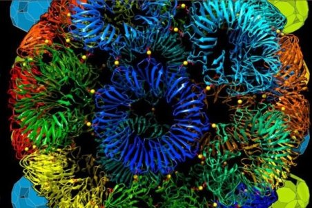 صادرات نانوپلیمر سیلیکون ایرانی به کشورهای همسایه