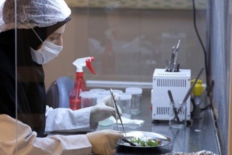 حمایت بلاعوض ۷۰ درصدی صندوق نوآوری از شرکتهای دانش بنیان